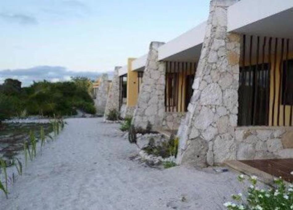 Beachfront Apartment With Swimming Pool. One Bedroom Celestun Buitenkant foto