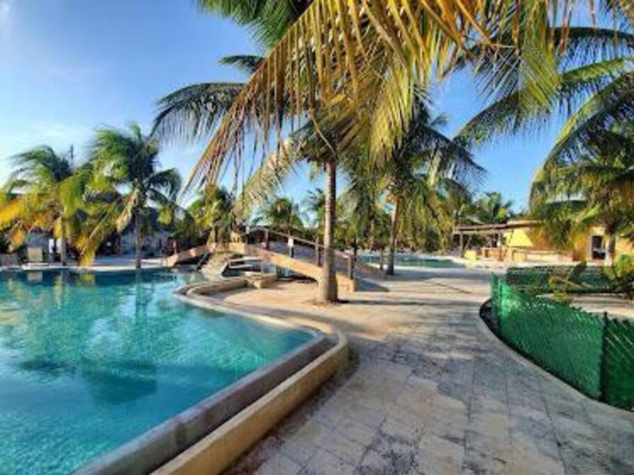 Beachfront Apartment With Swimming Pool. One Bedroom Celestun Buitenkant foto
