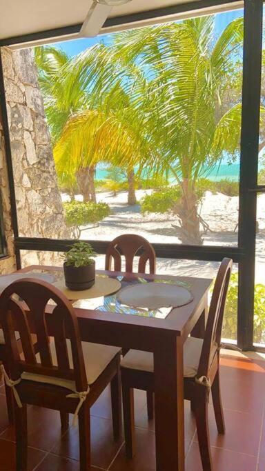 Beachfront Apartment With Swimming Pool. One Bedroom Celestun Buitenkant foto